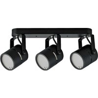 Спот TruEnergy 21356 (с лампами General Lighting 661462 3шт)