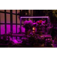 Линейный светильник Uniel ULI-P21-24W/SPSB IP40 WHITE Спектр для рассады и цветения UL-00008921