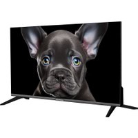 Телевизор Topdevice 24" OS SALUTE TV (черный)