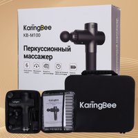 Перкуссионный массажер KaringBee KB-M100 (черный) в Бобруйске