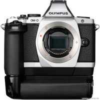 Беззеркальный фотоаппарат Olympus OM-D E-M5 Kit 14-42mm