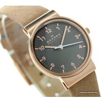 Наручные часы Skagen SKW2189