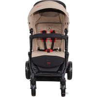 Коляска прогулочная «книга» Coletto Amico