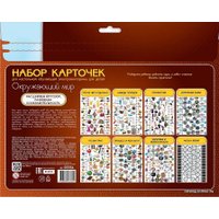 Детская настольная игра Десятое королевство Набор карточек Окружающий мир