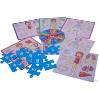 Развивающая игра Bondibon Веселая анатомия ВВ3792