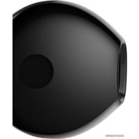 Наушники Xiaomi Dual Driver Earphones (черный)