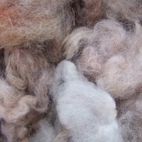 Одеяло Экотекс вербл. шерсть Караван всесезонное 300г/м2 (евро - 200х220)