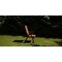 Кресло Fieldmann FDZN 4101-T