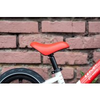Беговел Lenjoy Sports S1000-12