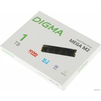 SSD Digma Mega M2 1TB DGSM3001TM23T