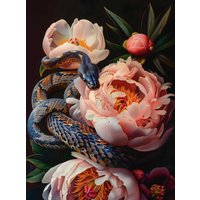 Алмазная мозаика  Феникс+ Пионы и змея 68638
