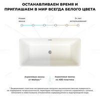 Ванна Wellsee Cute Twin S 168x75 23830101R (отдельностоящая ванна белый глянец, экран, ножки, сифон-автомат хром)