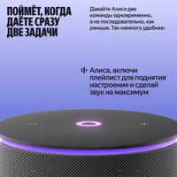 Умная колонка Яндекс Станция Мини 3 Про (черный)