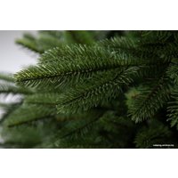 Ель GreenTerra Калифорнийская 1.8 м
