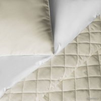 Покрывало Pasionaria Ким 160x220 с наволочками 45x45 (айвори)