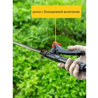 Аккумуляторный опрыскиватель Pioneer Tools BWS-10L-01