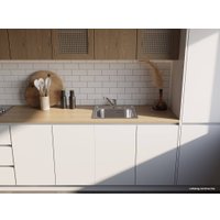 Кухонная мойка Omoikiri Saru 48 IN