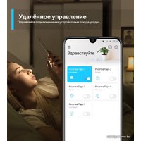 Умная розетка TP-Link Tapo P100