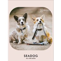 Ошейник Seadog Blue Seagull M в Солигорске