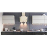 Кухонная вытяжка ZorG Titan A Beige 50 (750 куб. м/ч)