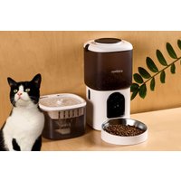 Кормушка электронная Rombica myPet Bruno