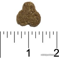 Сухой корм для кошек All Cats с говядиной и овощами 2.4 кг