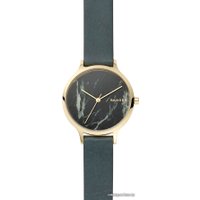 Наручные часы Skagen SKW2720