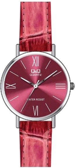

Наручные часы Q&Q Q979J826