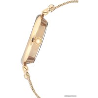 Наручные часы Anne Klein 3000GNGB