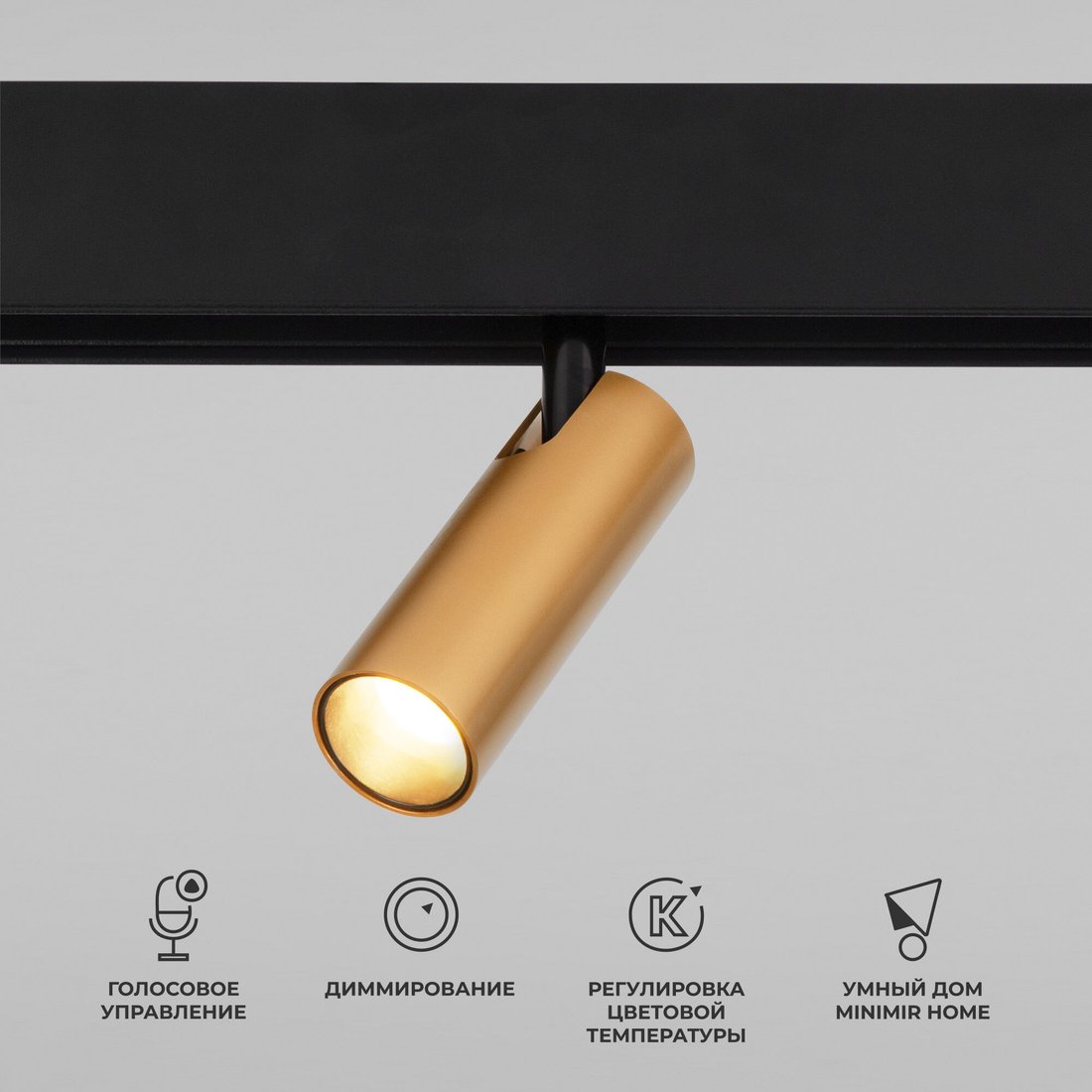 

Трековый светильник Elektrostandard Dim Cubo 85070/01 (латунь)