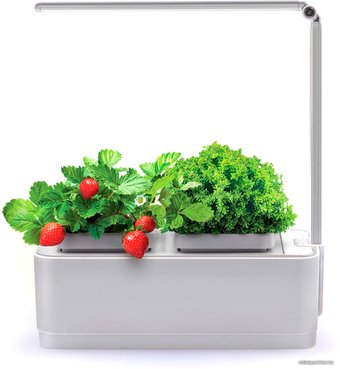 Умный сад iGarden с подсветкой LED