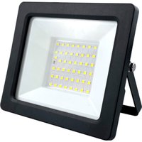 Уличный прожектор ЭРА LPR-042-3-65K-050