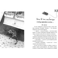 Книга издательства Самокат. Кот прямо с неба (Шанская Анастасия) в Лиде