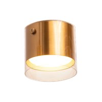 Припотолочная люстра Wolta WSL-GX53/07G