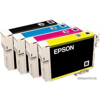 Картридж Epson C13T12954010