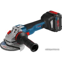 Угловая шлифмашина Bosch GWS 18V-10 C Professional 06019G310D (с 2-мя АКБ, кейс)