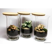Флорариум Home Garden XS