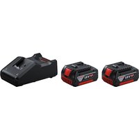 Аккумулятор с зарядным устройством Bosch 1600A019S1 (18В/2x4 Ah + 18-40В)
