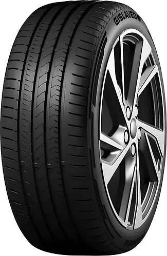 Летние шины Gislaved EcoControl 205/55R16 91V