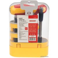 Набор отвертка с битами Rexant 12-4776 (33 предмета)