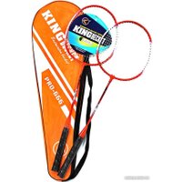 Теннис/бадминтон Zez Sport 666-1