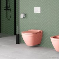 Сиденье для унитаза Ambassador Nord 132T20901S (розовый матовый)