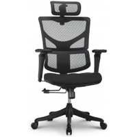 Офисное кресло Ergostyle Sail E-Pro SAE-MF01N (черный/черный)