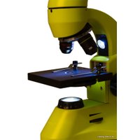 Детский микроскоп Levenhuk Rainbow 50L Plus (лайм) 69054