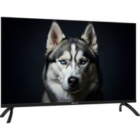 Телевизор Topdevice 32" WILDRED TDWC32BF2110V