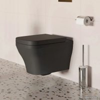 Сиденье для унитаза Ambassador Benefit 202T20201 (черный матовый)