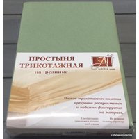 Простыня Альвитек Трикотажная на резинке 160x200x20 ПТР-ОЛ-160 (оливковый)