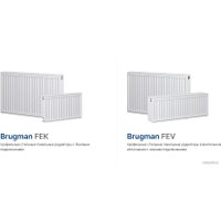 Стальной панельный радиатор Brugman Tип 22 300x100x1200 FEK220301201UBY (боковое подключение)