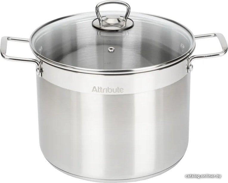 Кастрюля Attribute Master Chef ASM008