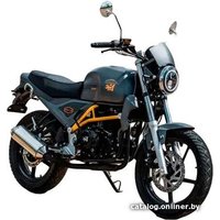 Мотоцикл ЗиД 300-01 Стайер